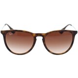 Ray-ban Erika Naočare za sunce RB 4171 865/13 Cene