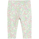 Cool club pajkice DH CCG3001067 D večbarvno 62 | Shoptok.si