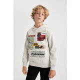 Defacto Boy's Star Wars Hooded Sweatshirt cene