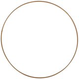RAYHER Obroč kovinski, 20 cm, zlat, (22136617) | Shoptok.si