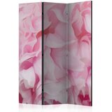 Artgeist PARAVAN 135/172/3 cm pink, svetlo roza | Shoptok.si