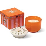 Paddywax Charmed Wild Neroli mirisna svijeća sa zatvaračem 226 g | shoptok.hr