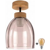 Brilagi LED plafonski luster R GLASS 1xE27/60W/230V preč. 17cm hrast/zadimljena bež Cene