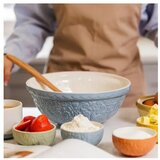 Mason Cash Modra keramična skleda ø 26 cm Home to Roost – | Shoptok.si