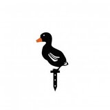 WALLXPERT Ducks | ePonuda.com