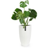 Fox & Fern Almere lonac za cvijeće Fiber Stone idealan za biljke, ručni rad, konusni | shoptok.hr