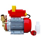 Rover 25CE PROTOČNA PUMPA, 230V/50Hz/2500l/h/0,8KS | shoptok.hr