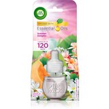 Air Wick Summer Delights punjenje za električni difuzor 19 ml Cijene