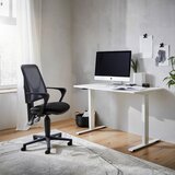 Livetastic PISALNA MIZA kovina, leseni material bela | Shoptok.si
