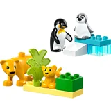 Lego DUPLO® - Obitelji divljih životinja: pingvini i lavovi (10442)
