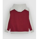 Quiksilver No Teacher Kids Hoodie oxblood red | Shoptok.si