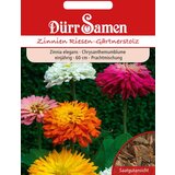 Dürr Samen cinije Riesen-Gärtnerstolz | Shoptok.si