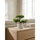 Sinsay Dekorativna biljka u saksiji – bonsai drvo | shoptok.hr
