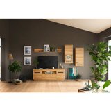Mömax tv-element alana crenata dekor | Shoptok.si
