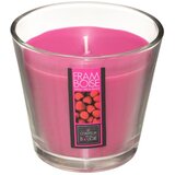Atmosphera sveća Nina 9x8,3 cm vanila, Roze