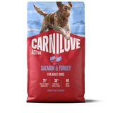 Carnilove Dog Active Adult, briketi - losos in puran 4 kg | Shoptok.si