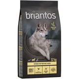 briantos 10% popust! 2 x 12 kg - BEZ ŽITARICA - Adult Mobility piletina i krumpir