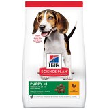 Hill’s za štenad, medium breed, piletina, 14kg