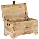 Skrinja za shranjevanje iz trdnega neobdelanega mangovega lesa, (20707950) | Shoptok.si