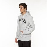 Champion Harvard Siva | shoptok.hr