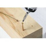 Einhell PZ2 bit 30mm, impaktor extremepro, 1/4" c 6.3 prihvat - tq 60 ( 49127102 ) | Eponuda.com