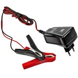 Punjač baterija Green Cell 6V/12V(1A), za AGM, Gel, Olovno kiselinske baterije | shoptok.hr