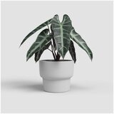 Artevasi Keramička ručno rađena tegla za cvijeće ø 17 cm Echo – | shoptok.hr