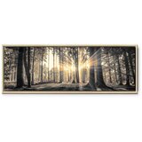  Slika - Forest Sun 90x30 U prirodnom drvenom okviru | shoptok.hr
