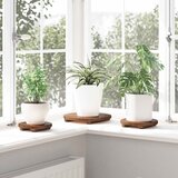  Stolička za biljke 3 pcs Smeđa Drvo od mahagonija | shoptok.hr