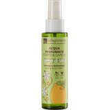  Mirisna voda s limunom i jasminom – Raggio di sole - 100 ml Cijene