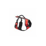 Croci d.am easy sport xs crveni Cene