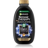 Garnier Botanic Therapy Magnetic Charcoal & Black Seed Oil šampon za masnu kosu 400 ml za žene | shoptok.hr