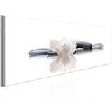 Slika - Spa Beauty and Relaxation 150x50 Cijene
