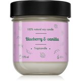 Tropicandle Blueberry & Vanilla mirisna svijeća 170 ml | shoptok.hr
