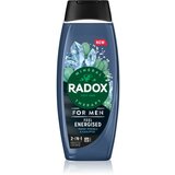 RADOX Feel Energised gel za prhanje za moške 2 v 1 450 ml Cene
