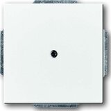 Busch-Jaeger Centralni disk dav/sws slepi izhod s podpornim obročem 1742-84, (20858385) Cene