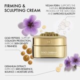 Dolce & Gabbana Ever-Youth Gold Peptides Cream učvršćujuća krema za lice zamjensko punjenje 50 ml | shoptok.hr