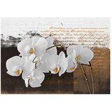  Tapeta - Sentimental thoughts 250x175 | shoptok.hr