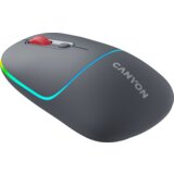 Canyon mouse MW-22 2in1 BT/ Wireless Dark Grey | Eponuda.ba