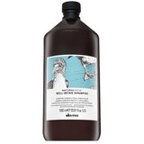 DAVINES Natural Tech Well-Being Shampoo hranjivi šampon za mekoću i sjaj kose 1000 ml Cijene