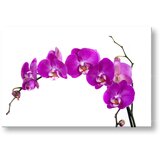  Slike na platnu cveće (moderne slike na platnu) | ePonuda.com