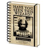 Grindstore Wholesale HARRY POTTER (SIRIUS & HARRY) 3D NOTEBOOK | shoptok.hr