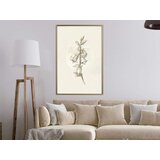 Poster - Beige Campanula 20x30 | shoptok.hr