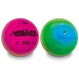 Bioball: Odbojka mavričnih barv 216mm velikost 5 -