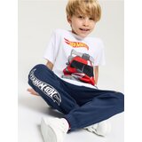 Sinsay Donji dio trenirke loose jogger Hot Wheels Cijene