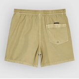 Quiksilver Everyday Surfwash Volley 15 Boardshorts kelp | Shoptok.si