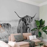 Artgeist Foto tapeta - Highland Cattle 100x70 Standard | shoptok.hr