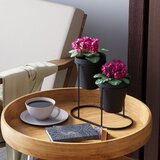 WALLXPERT GED-015-A black decorative metal accessory Cene