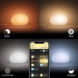 Philips 40904/31/P9-LED RGB prigušiva stona lampa Hue FLOURISH 1xE27/9,5W/230 | Eponuda.com