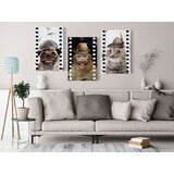 Slika - Funny Pets (Collection) 60x30 | shoptok.hr